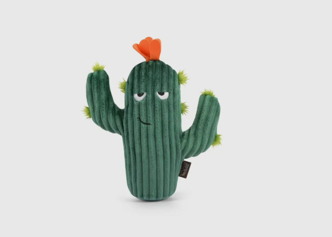 P.L.A.Y. Dog Toys