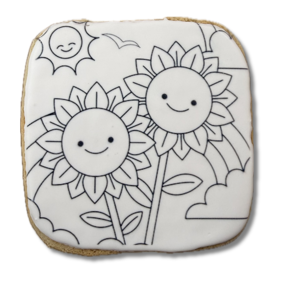 Paintable Cookie